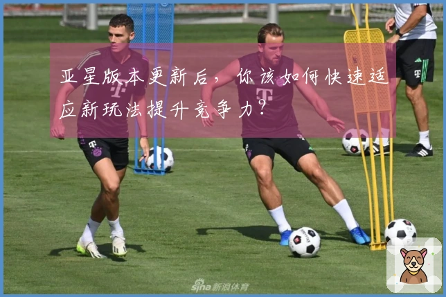 亚星版本更新后,你该如何快速适应新玩法提升竞争力?