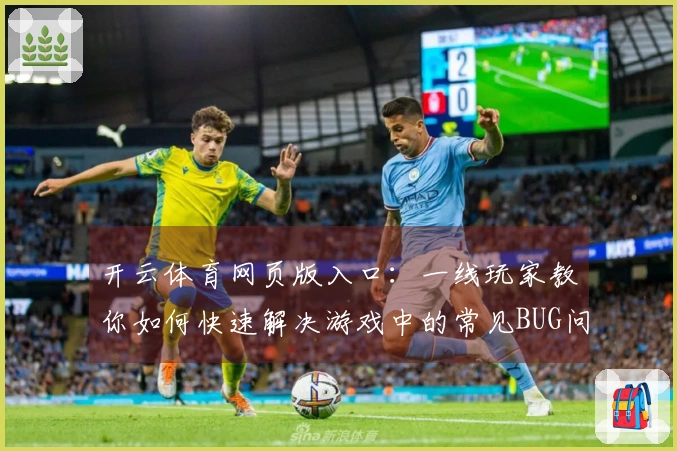 开云体育网页版入口：一线玩家教你如何快速解决游戏中的常见BUG问题